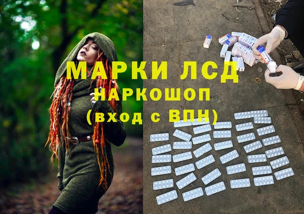 стафф Алексин