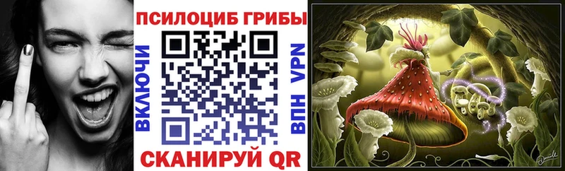 Галлюциногенные грибы MAGIC MUSHROOMS  Лосино-Петровский 